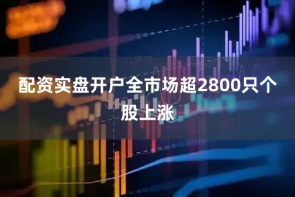 配资实盘开户全市场超2800只个股上涨