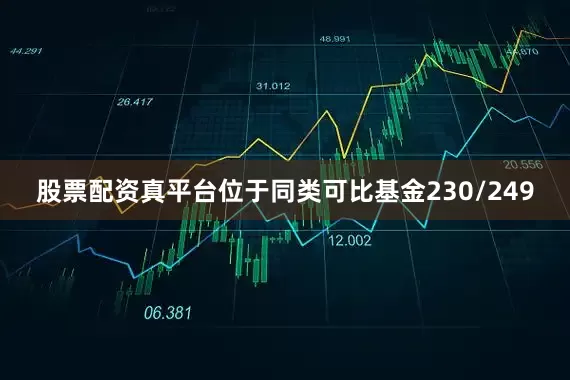 股票配资真平台位于同类可比基金230/249